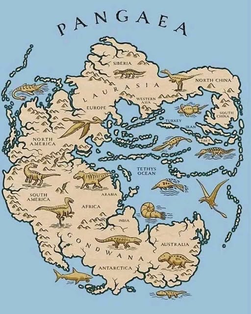 Pode ser um doodle de mapa e texto que diz "PANGAEA SIBERIA NORTH CHINA LAU EUROPE WESTERN AMERICA TURKEY ممحبد SOUTH CHINA TETHYS OCEAN SOUTH AMERICA ARABA .မတ لوسه AFRICA INDIA AUSTRALIA N ANTARCTICA 日海"