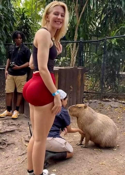 Pode ser uma imagem de 2 pessoas