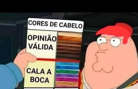 Pode ser uma imagem de texto que diz "CORESDECABELO CORES DE CABELO OPINIÃO VÁLIDA CALA A BOCA"