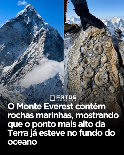 Pode ser uma imagem de texto que diz "FATOS SOBRENATURAIS O Monte Everest contém rochas marinhas, mostrando que o ponto mais alto da Terra já esteve no fundo do oceano"